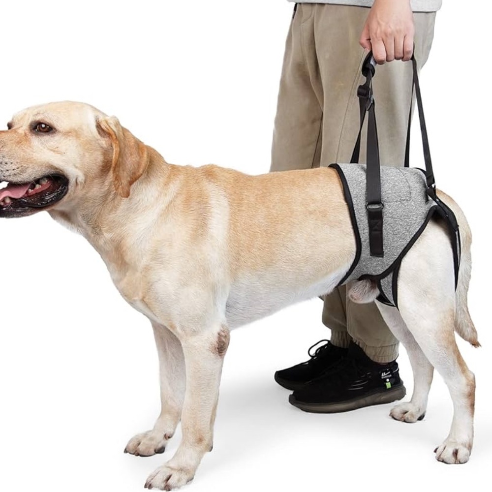 NWT-Dog Leg Support for Back Legs